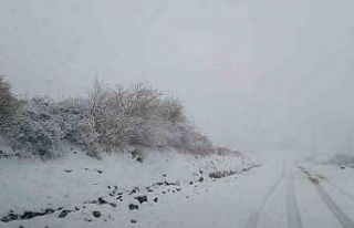 Ordu’nun yüksek kesimleri karla kaplandı