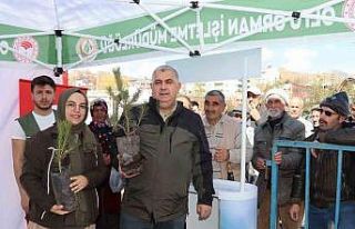 Orman haftası dolayısıyla ücretsiz fidan dağıtımı...