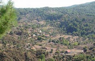 Orman köylüsüne yüzde 70 indirim