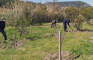 Ortaca’da çevre temizlik ve düzenlemesi devam...