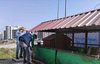 Osmaniye’de sokak hayvanlarına mama desteği