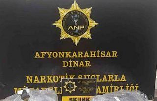Otomobilde yapılan aramada 2 kilogram 290 gram skunk...