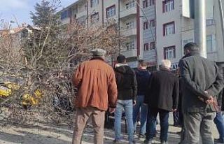 Otomobilin çarptığı ağaç devrildi: 1 yaralı