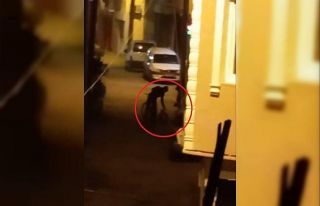 (Özel) Bisikletli yakıt hırsızları, tesadüfen...