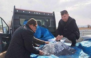 (ÖZEL) Fiyatı yükselişe geçince üreticiler bu...