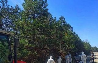 Özel giysilerle çam kese tırtıllarıyla mücadele...