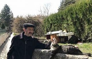 (ÖZEL) Komşularının istemediği kedileri için...