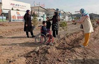 Özel öğrenciler Karatay’da fidan dikti