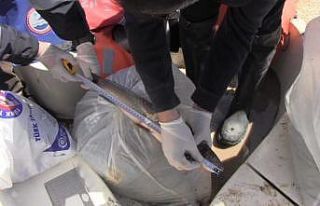 Prof. Dr. Veysel Eroğlu Ilısu Barajı’nda balık...