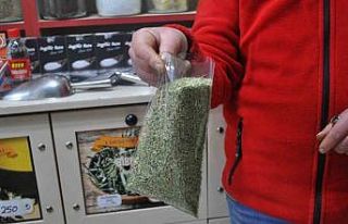 Ramazan’ın gözdesi rezene çayı