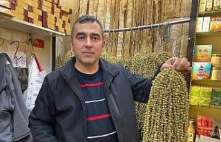 Ramazan’ın yaklaşmasıyla bamyaya ilgi arttı