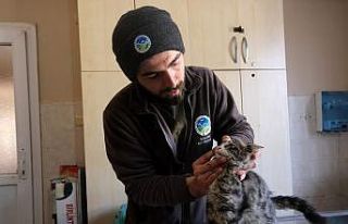 Sakaryalı veteriner ekipleri Antakya’da can dostlarının...