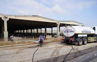 Şap hastalığına karşı canlı hayvan borsası...