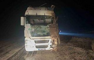 Şarampole devrilen tırda 2 kişi yaralandı