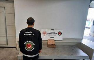 Sarp Sınır Kapısı’nda 250 adet su kaplumbağası...