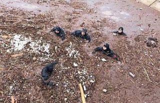 Selde kaybolan hamile kadını ve kızını arama...