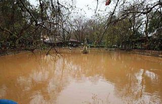 Selin vurduğu Balıklıgöl çamurla kaplandı