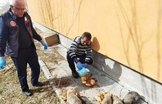 Şenkaya’da kamu görevlilerinden örnek davranış