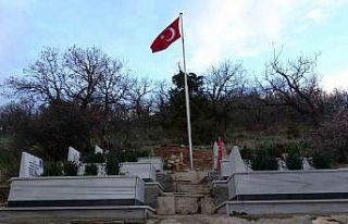 Siirt’te Ekmekçiler köyü şehitleri unutulmadı