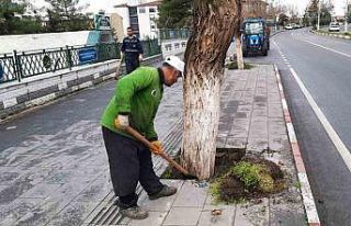 Siirt’te park ve bahçelerde temizlik ve bakım...