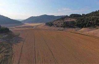 Sındırgı Çaygören Barajı endişe veriyor