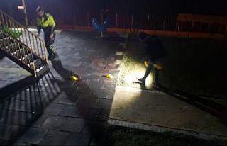 Sinop’ta 1 kişinin yaralandığı silahlı kavgaya...