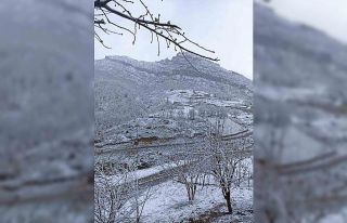 Şırnak beyaza büründü