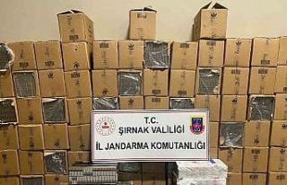 Şırnak’ta 48 bin 900 paket gümrük kaçağı...