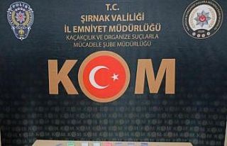 Şırnak’ta asayiş ve kaçakçılık operasyonu:...