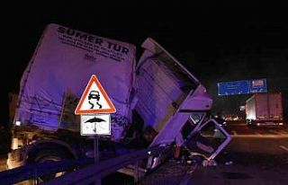 Şoför önüne çıkan hayvana çarpmamak için manevra...