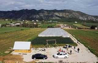 Suya kavuşan topraklarda üretim başladı