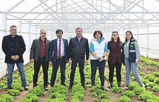 Tarım Vadisi yeşilleniyor