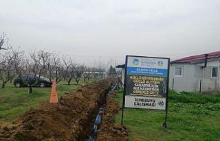 Tarım ve hayvancılığın yoğun olduğu o bölgeye...