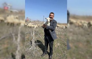 Tarımda yeni bir dönem