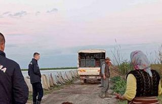 Tarsus’ta 25 koyun telef oldu