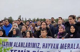 Taş ocağının su havzası üzerinde kapasite arttırmasına...