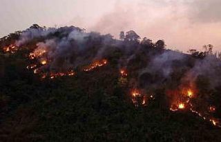 Tayland’da yıldırım düşmesi sonucu milli parkta...