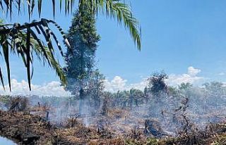 Tayland’daki orman yangını devam ediyor