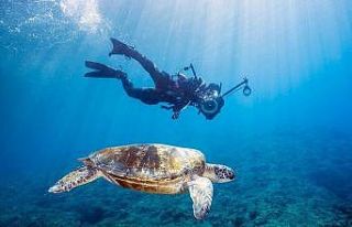 Tayvan’a gelen turistlere para ödenecek