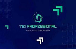 TEI’den yeni çevrim içi eğitim ve gelişim programı