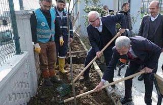 Tekkeköy’de binlerce fidan toprakla buluştu
