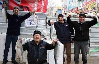 Tezgahların en pahalısı kalkan, en ucuzu ise mezgit