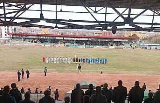 TFF 2. Lig: Kırşehir FK: 2 - Bucaspor: 2