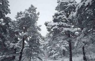 Tokat’ta Çamiçi Yaylası’na Bahar Karı