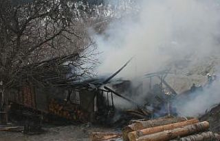 Tosya’da çıkan yangında bir ev kül oldu