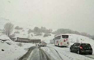 Tunceli’de kar yağışı etkili oluyor