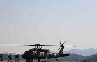 Tunceli’de yeşil kategoride yer alan terörist...