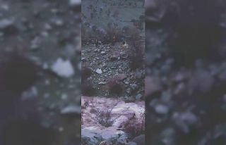 Tunceli’de yol ve menfez çöktü, mahsur kalan...