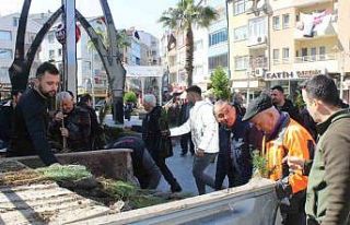 Türkeli’de vatandaşlara 6 bin fidan dağıtıldı