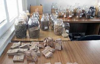 Türkiye’nin ata tohum merkezi